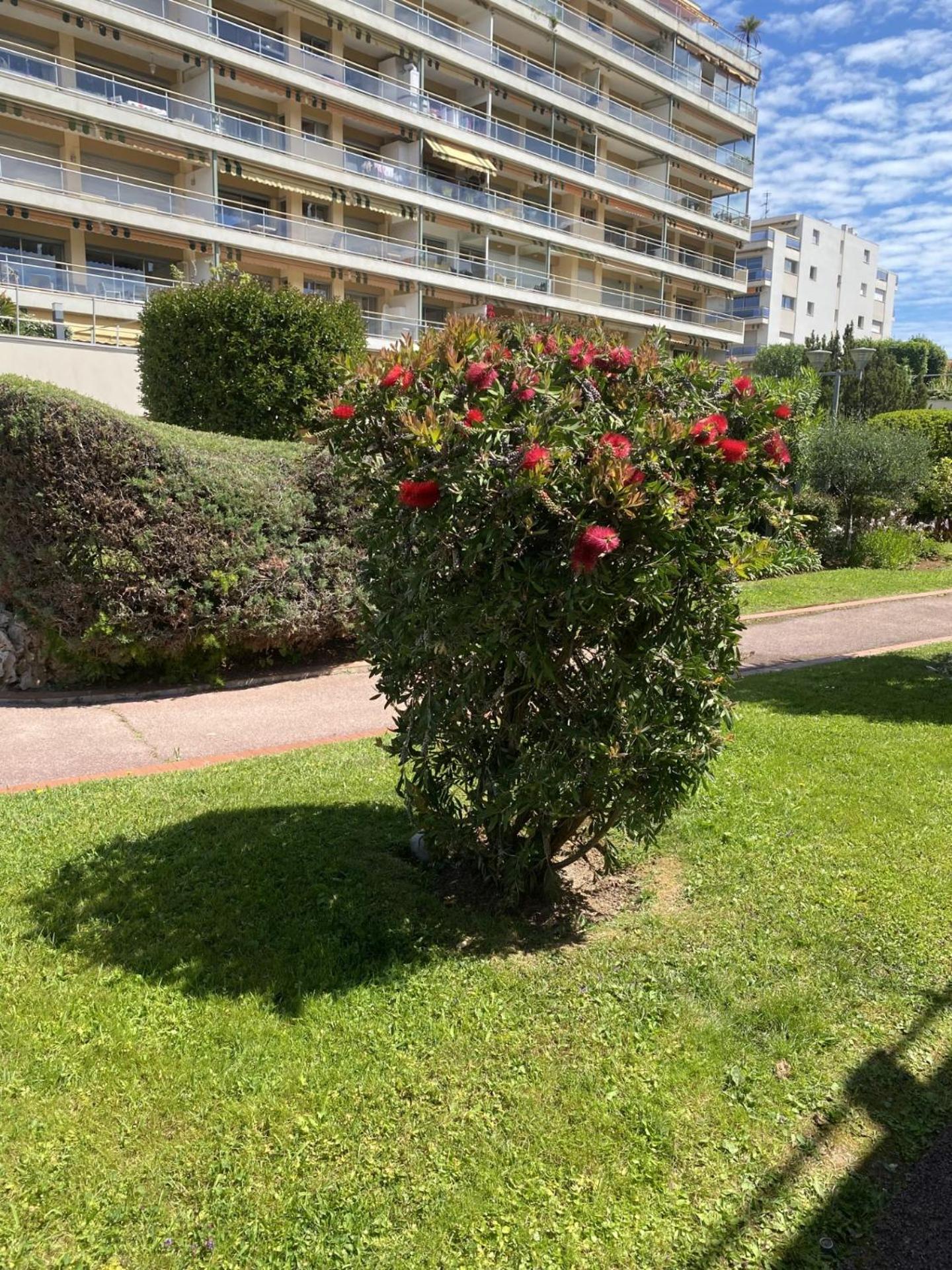 Cosy A 250 M De La Plage, Pointe Croisette